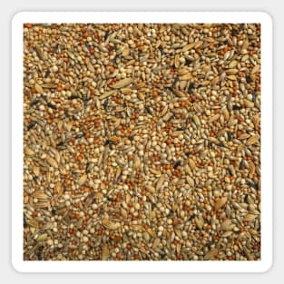 Seed (bird food) texture Magnet